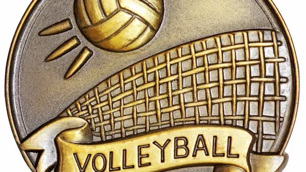 Plus 40 Volleyball