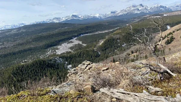 Lesueur Ridge Hike