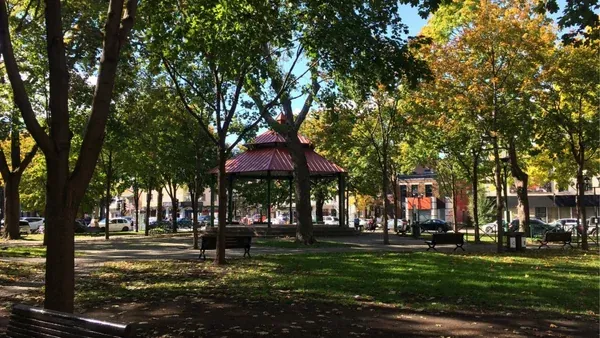 Community Picnic
