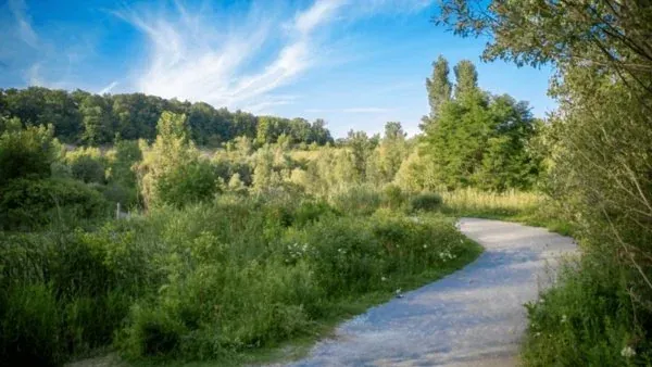 Nature and Neighborhood Walk