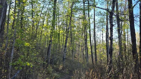 Weaselhead South Trail and Rolling Hills Hike