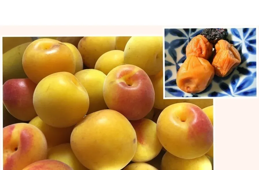 Umeboshi Making Workshop