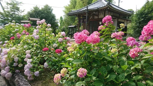 Chokyuji Temple Hiking