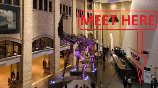 Royal Ontario Museum Group Walking Tour