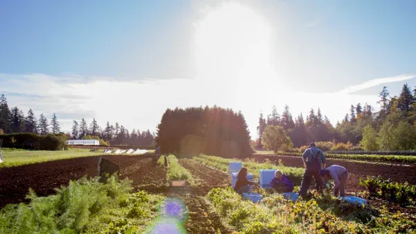 Nature Walk at UBC Farm and Gardens