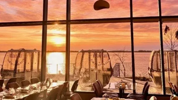 Dinner and Drinks