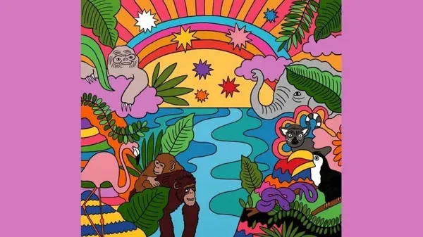 OPEN Psychedelic Education Network Gathering
