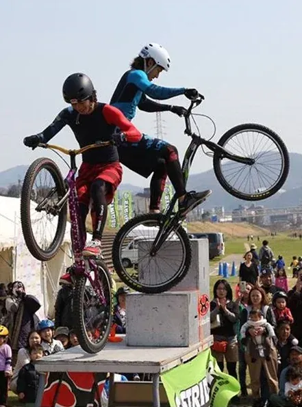 Mountain Bike Performance
