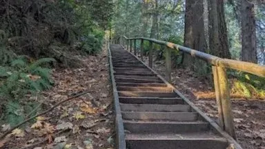 Walking Event: Edmonds Park and Byrne Creek Ravine