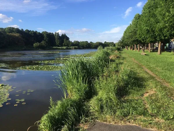 Park Walking and Picnic
