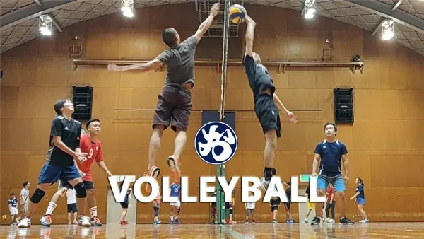 Volleyball Session