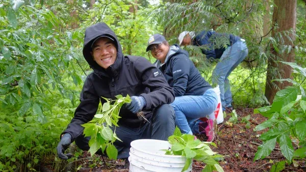 Invasive Plant Removal Stewardship