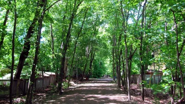 Nature and Neighborhood Walk with Dinner and Games