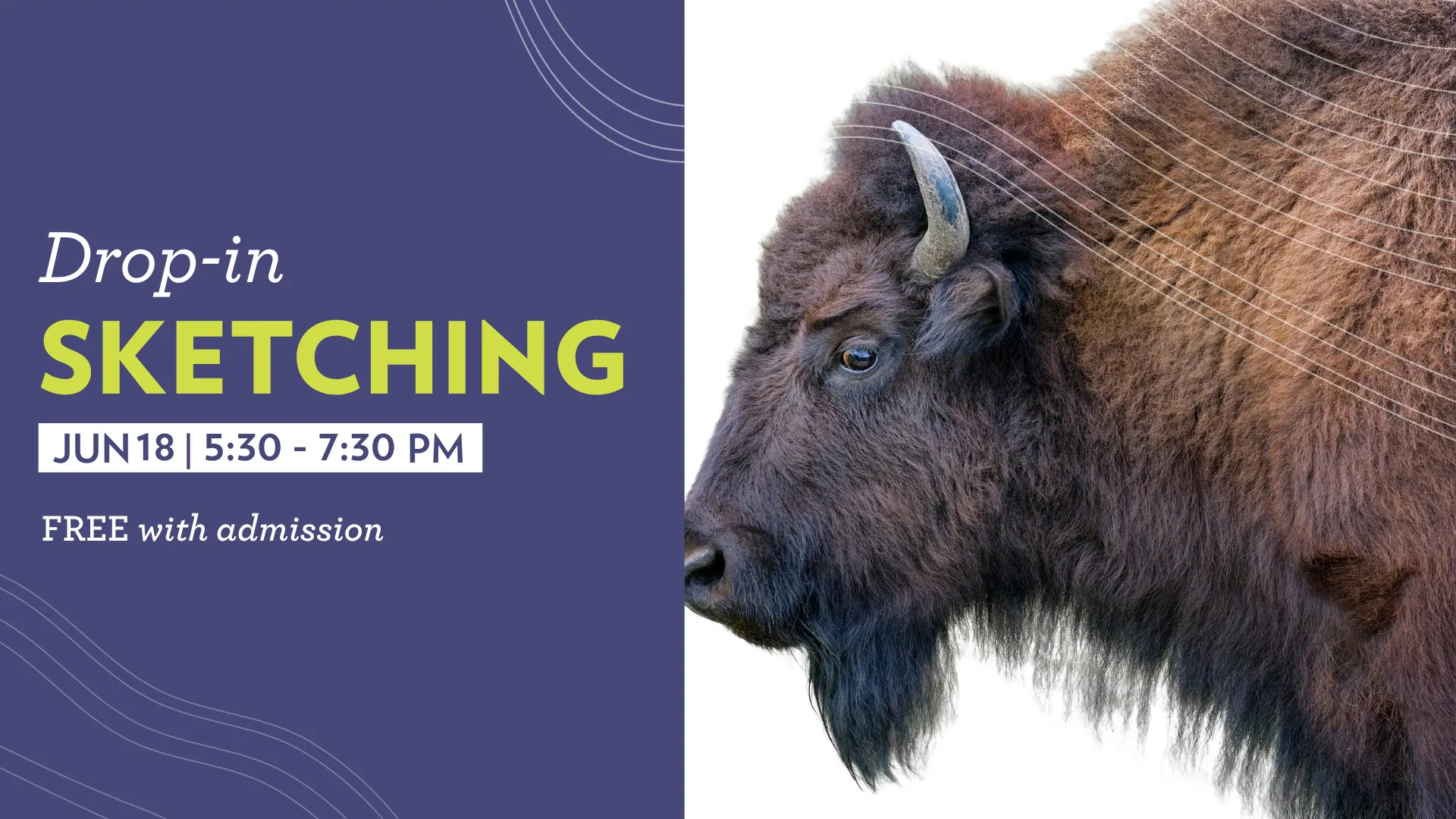 Drop-In Sketching: Animals for Indigenous History Month