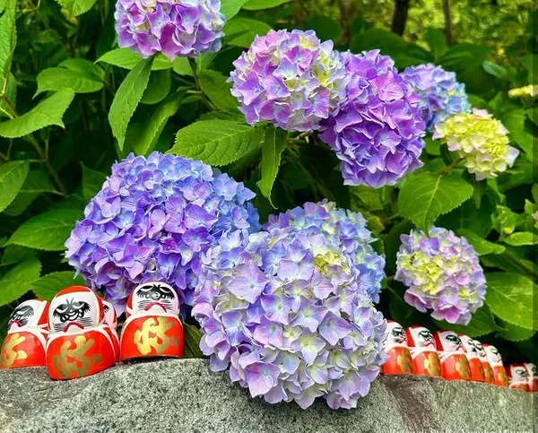 Hiking from Katsuo-ji Temple to Minoh Falls