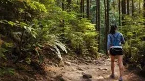 Weekly Evening Walk in Pacific Spirit Park