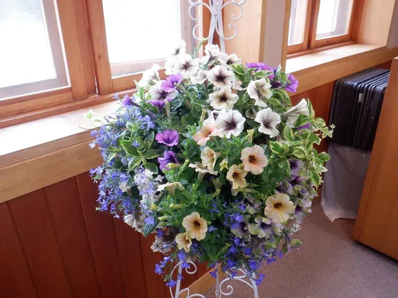 Advanced Hanging Basket Workshop: Preparing for Competition