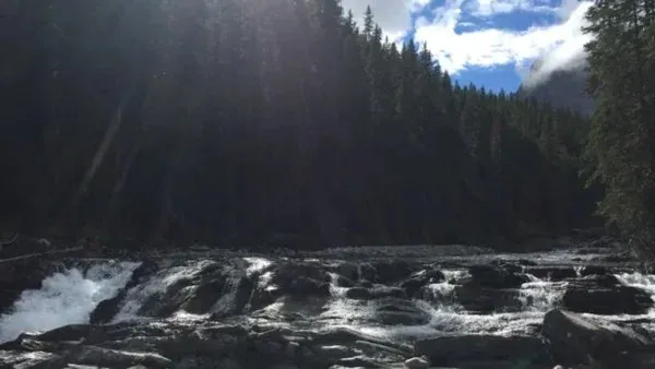Sheep River Trail Hike