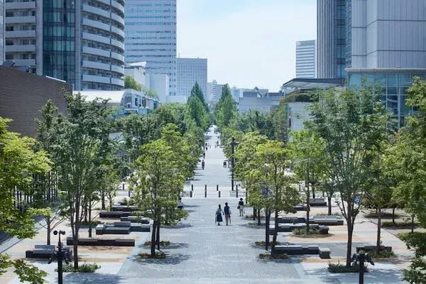 Sketching and Socializing in Sakuragicho