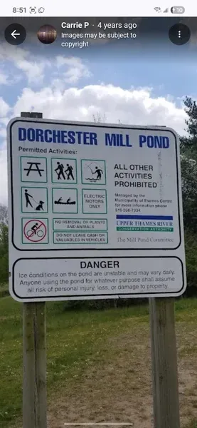 Dorchester Mill Pond Hike