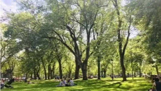 Summer Crossover Picnic and Potluck