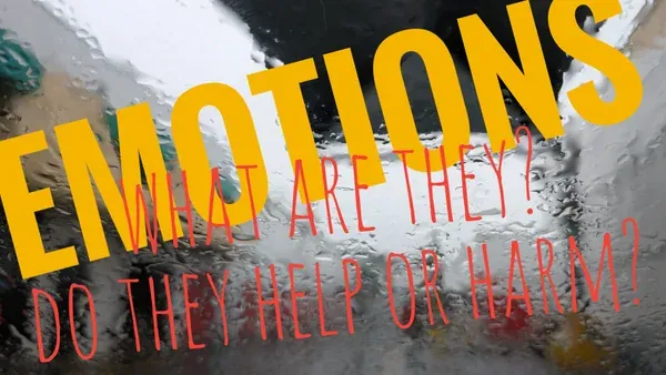 Emotions: Nature, Function, and Impact